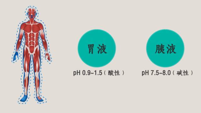 水的电离和溶液ph值的计算知识点,ph值的计算试题