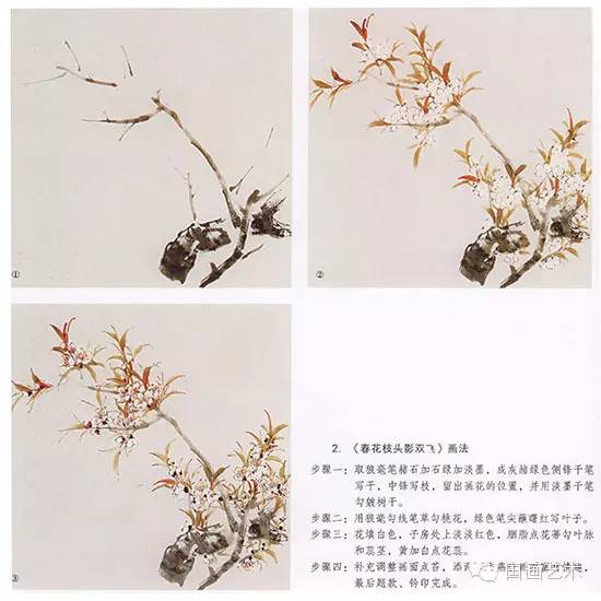 桃花的步骤画法，春天桃花盛开手把手教你画。