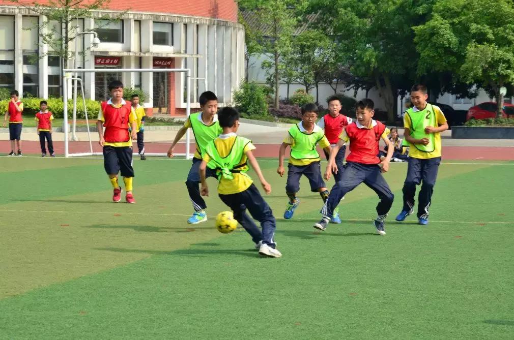 陶言|书是一种工具,看也是为着用,为着解决问题