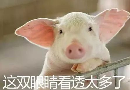 直男尬聊的经典对话,尬聊直男才是更需要被珍惜的人