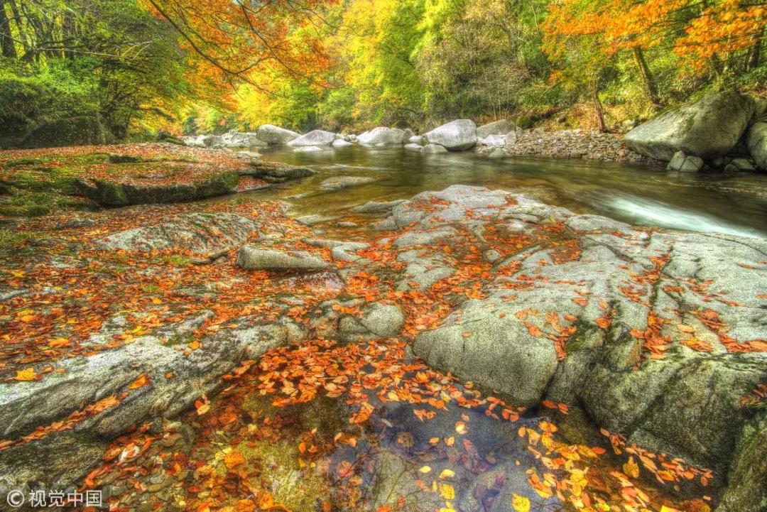 十四五川陕革命老区振兴发展规划,川陕革命老区振兴规划