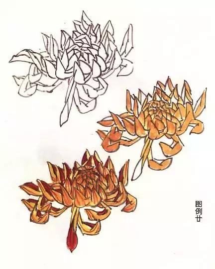 国画基础画菊花该如何构图才好看,国画菊花怎么画简单画法