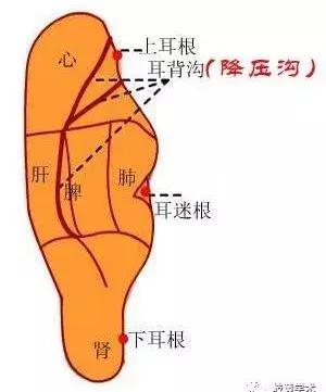 实用家庭急救方法,家庭常备穴位推拿