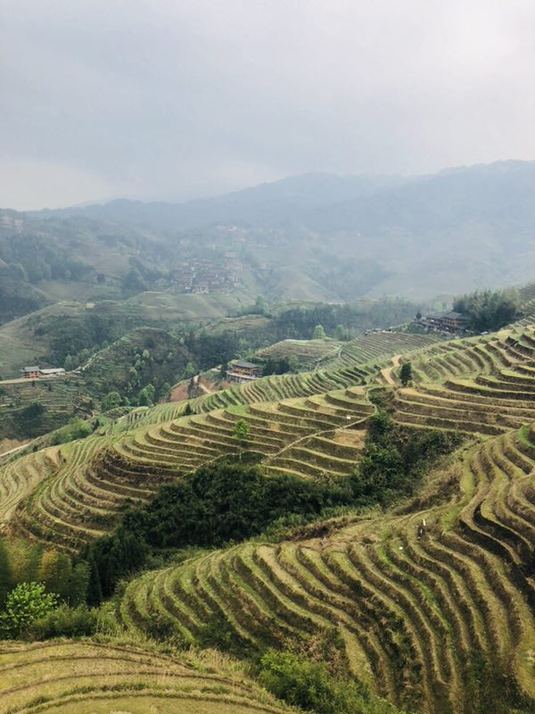 清明时节，醉美桂林6日游