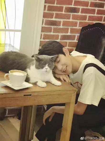 把喵咪交给男朋友照顾,回来我居然看到这种画面……