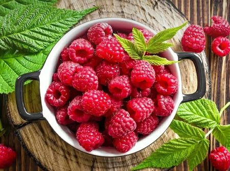 恋爱综艺蔡徐坤,当蔡徐坤和你谈恋爱时