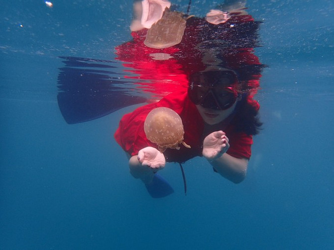 离开喧嚣的城市去野外生活三年,逃离都市喧嚣回归心灵栖居地