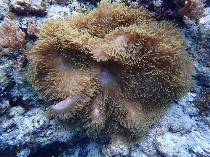 离开喧嚣的城市去野外生活三年,逃离都市喧嚣回归心灵栖居地