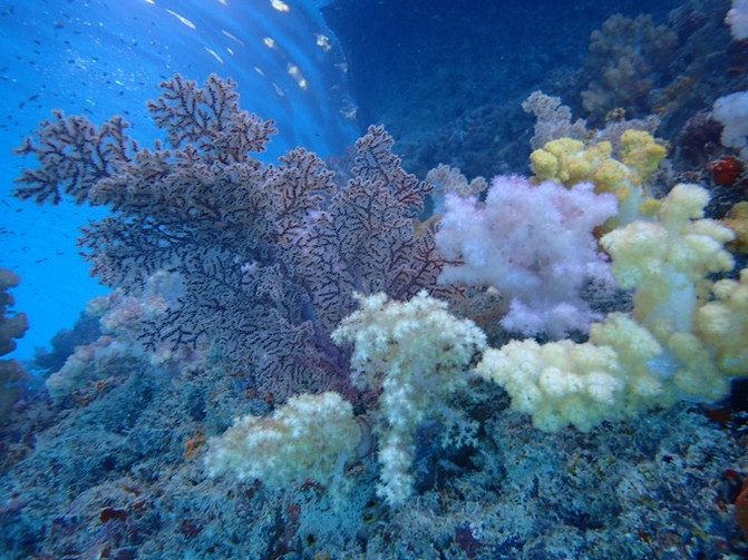 离开喧嚣的城市去野外生活三年,逃离都市喧嚣回归心灵栖居地