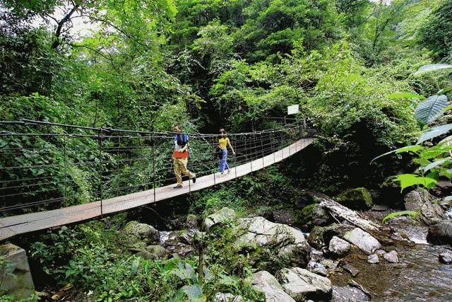 成都周边洗肺好去处,成都周边私藏的8个洗肺胜地