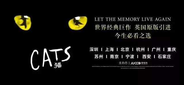 世界名著中的猫,盘点千奇百怪的猫