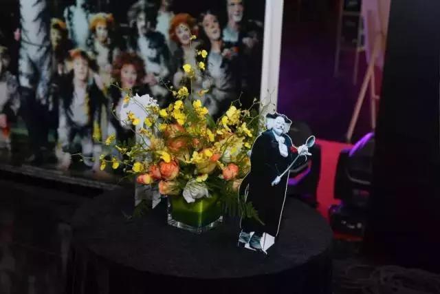 世界名著中的猫,盘点千奇百怪的猫