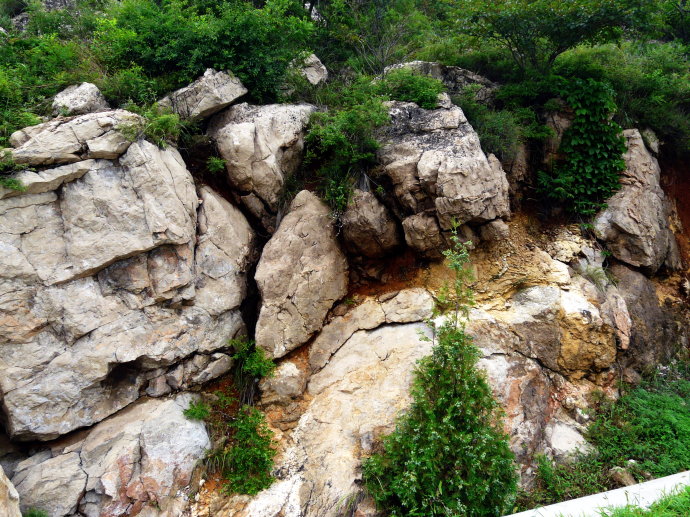 天津适合春游的公园,踏着欢快的脚步