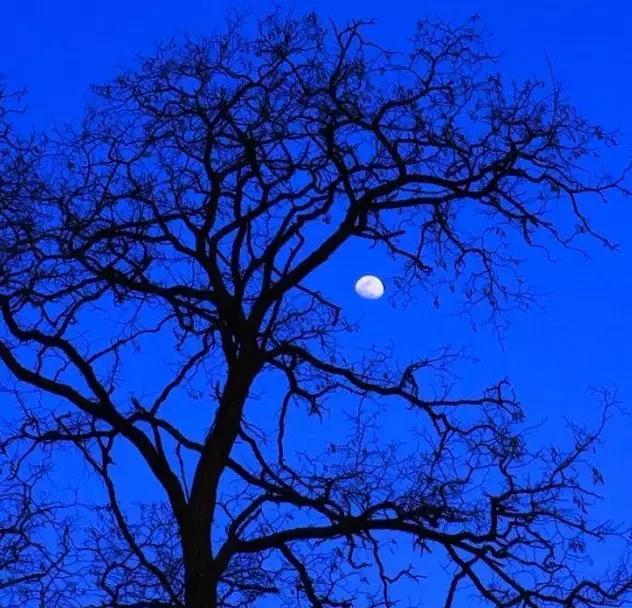 最新最美精选诗歌370首,中国现代最美的诗歌有哪些