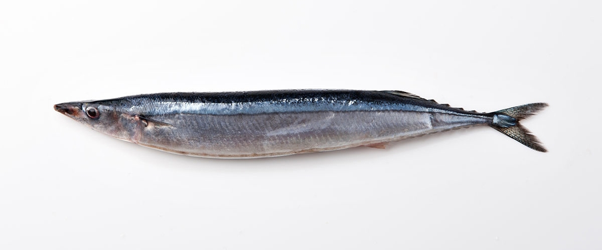 日式料理四种鱼,日本料理一般有哪些鱼