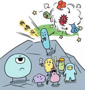 有菌环境提高免疫力,健康生活有菌相伴