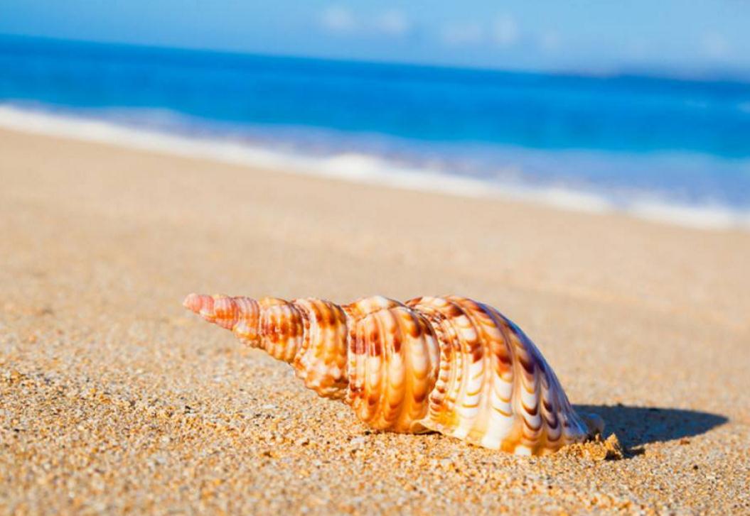 受到委屈励志美文,面对困难的美文