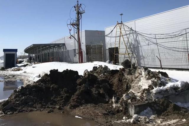 世界杯足球场草皮修复,世界杯球场草皮