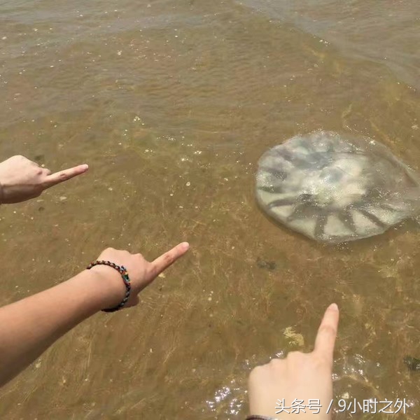 雷州乌石镇天成台度假黄金海岸,雷州乌石港景区