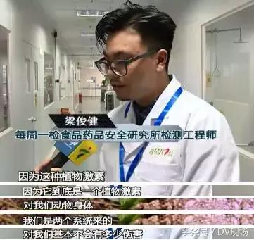 黄瓜用避孕药催熟,黄瓜催熟用避孕药