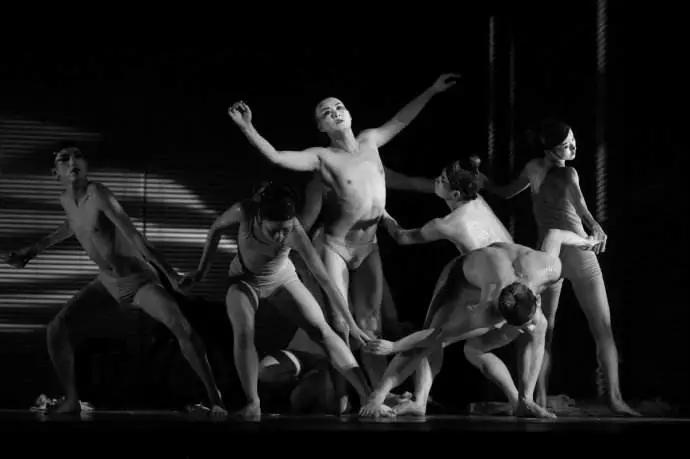 舞动疗愈身心之旅,舞动身体疗愈情绪