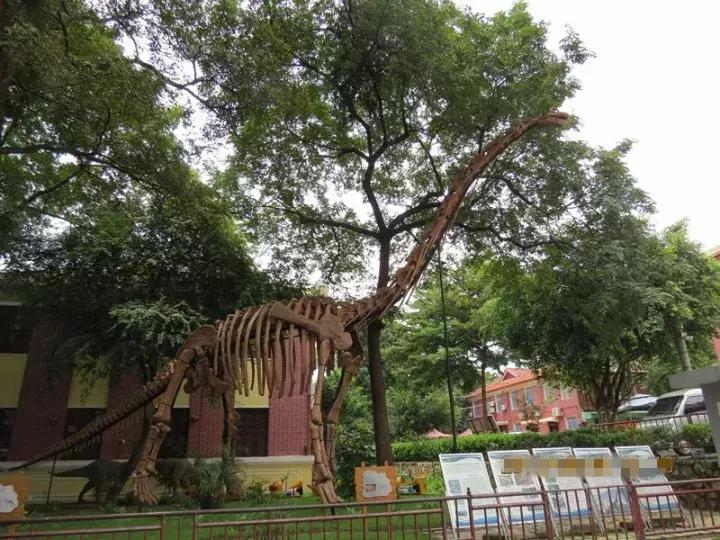 1亿年前的恐龙时代,1亿年前的恐龙