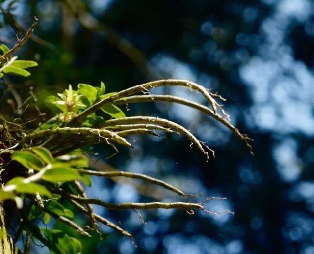 想玩遍温州名山，先看这里