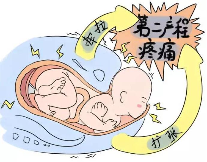 令产妇都害怕的侧切和撕裂，哪个容易恢复？答案有些意外！