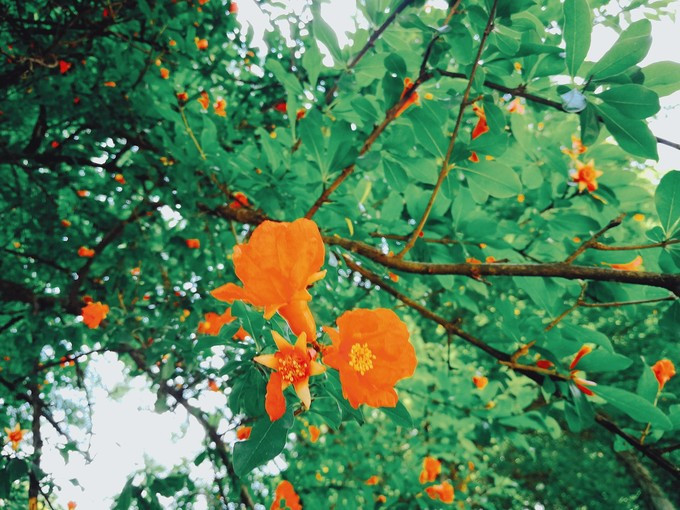 九溪虽小你却没用心体验过，别有一方风味