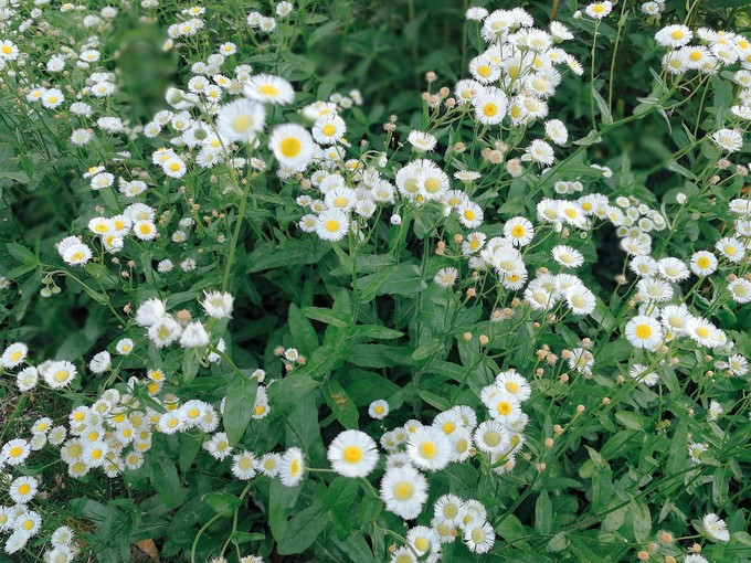 九溪虽小你却没用心体验过，别有一方风味