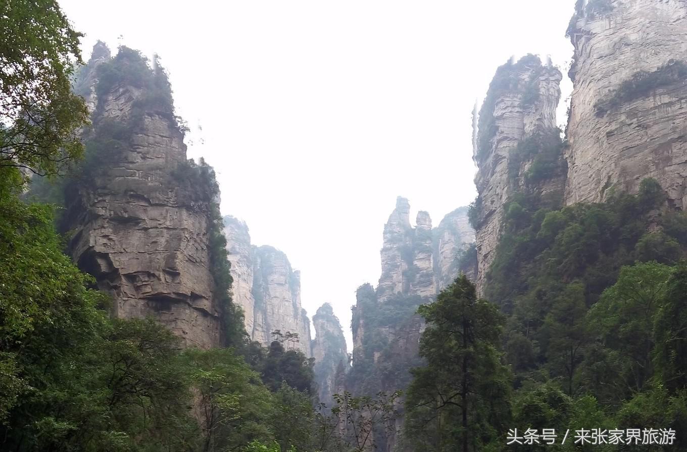 山东到张家界凤凰五日游攻略图文,佛山去张家界旅游攻略路线推荐图