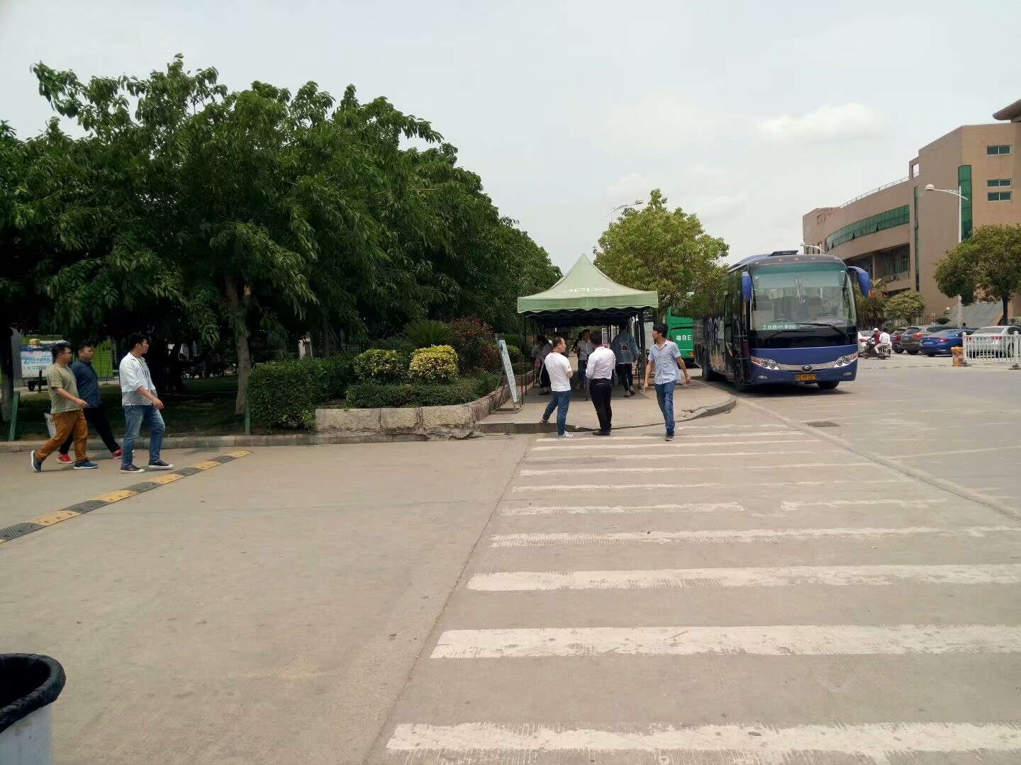 东莞长安镇有哪些工厂招聘,东莞长安工厂招工最新视频