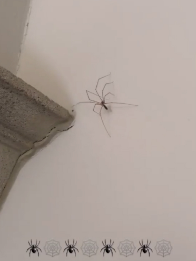 家中出现不速之客，小七和贝嫂吓的抱成一团，罗密欧尽显男人本色