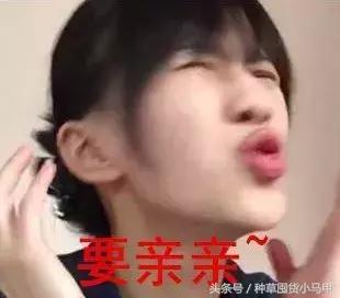 香水女大牌平价,香水中的平价战斗机