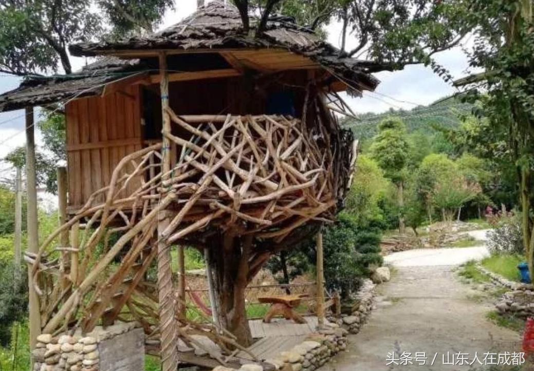 要火！去年刷爆朋友圈的温江紫薇园，今年要修长廊、观景台！