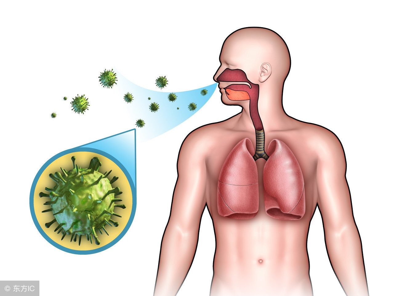 扬州晚报春雨绵绵湿气重,春天湿气太严重怎么办