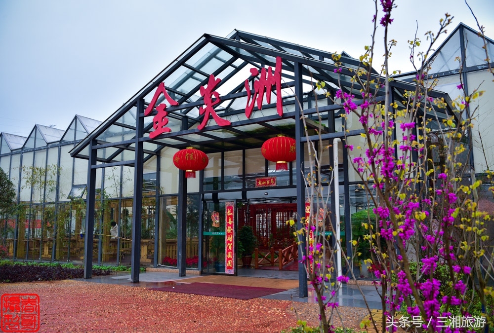 株洲生态休闲农庄生态餐饮,株洲野生鱼饭店