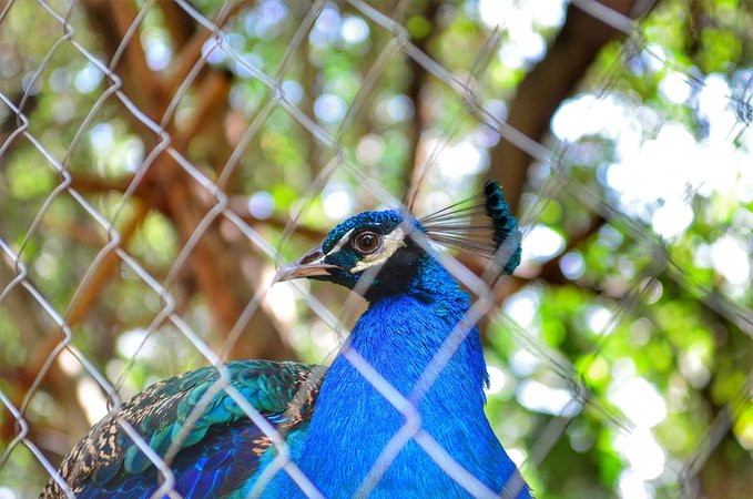 爱旅行爱生活之海南三亚蜈支洲,爱旅行游记攻略