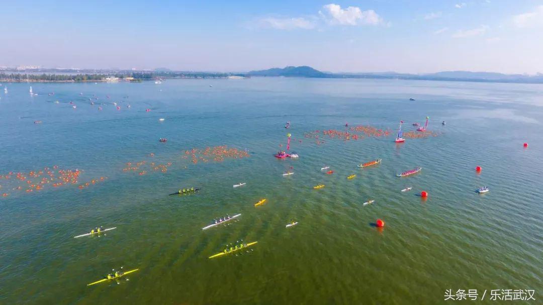 武汉期待已久的4月,武汉的四月是一个迷人的季节