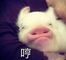 用mac口红的是什么女人,mac小样口红便宜