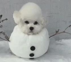 国货已崛起视频,国货产品已经崛起