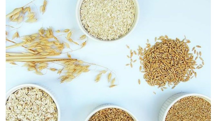 要选哪种的燕麦有助于减肥,吃燕麦可以减肥吗怎么选择燕麦