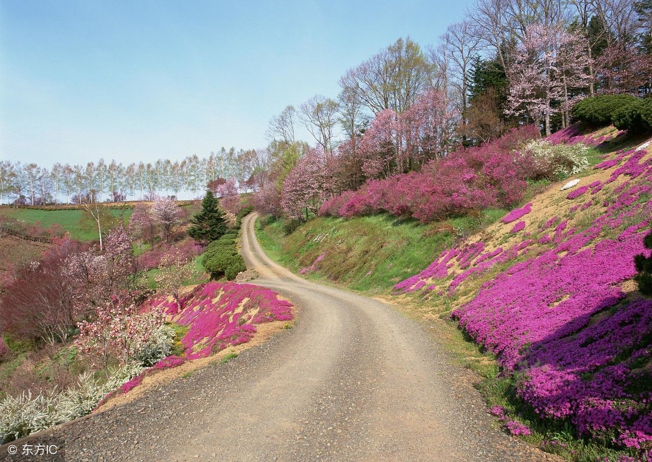 小学生必背成语500个及造句,小学语文必背成语及解析