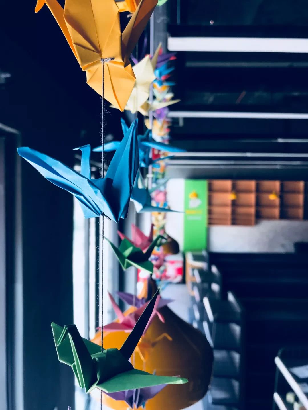 懒猫社长便利店开业,懒猫社长便利店视频