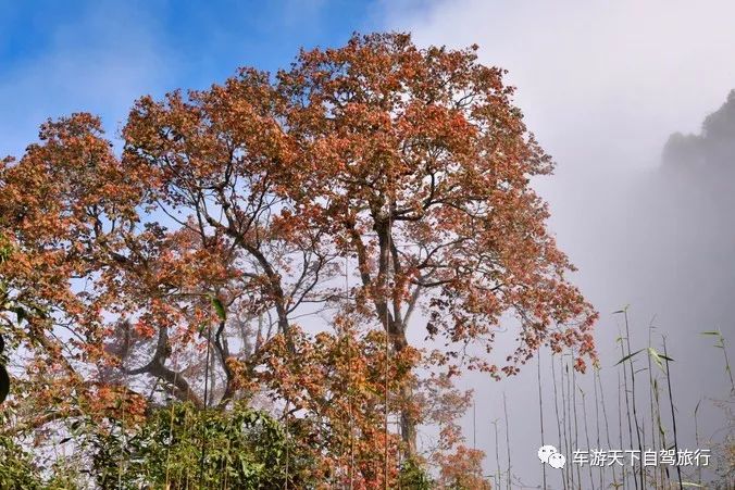 云南个旧是一个适合宜居的城市,个旧市最宜居的城市