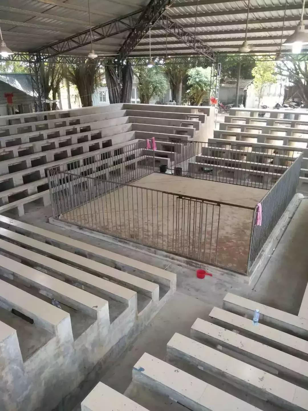 「独家」斗狗赌博案侦破实录丨什么的“游戏”让老人们如此疯狂？