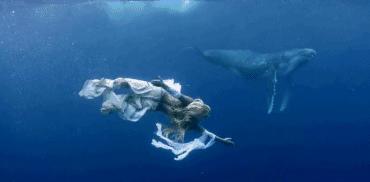 去他喵论文、校招，旅行才是刚需！毕业前享受最后一波学生优惠！