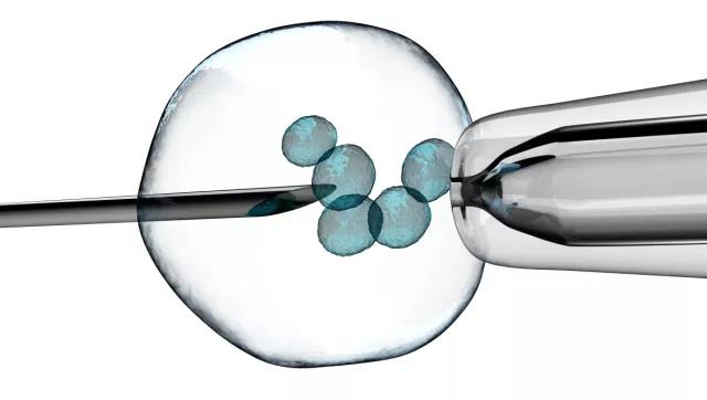 昆明一代试管婴儿,昆明试管婴儿医院在线专家咨询