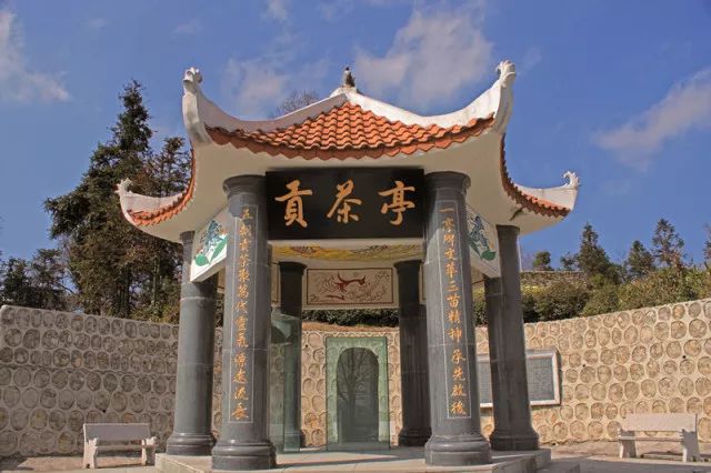 四月寻茶|除了云南普洱、西湖龙井，别小看贵州的这八道茶！