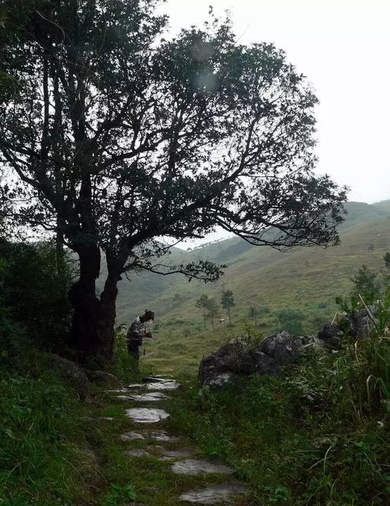 新春畅游千佛山,行走京西古道